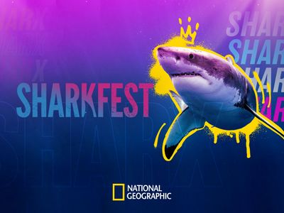Season 07, Episode 12 SharkFest: World's Biggest Hammerhead?