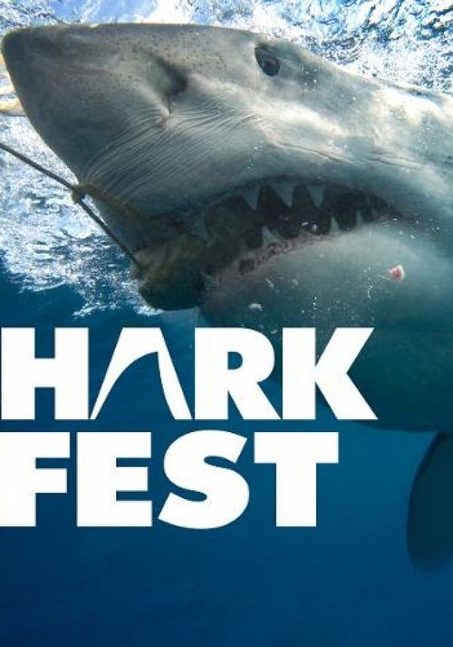 Sharkfest Poster