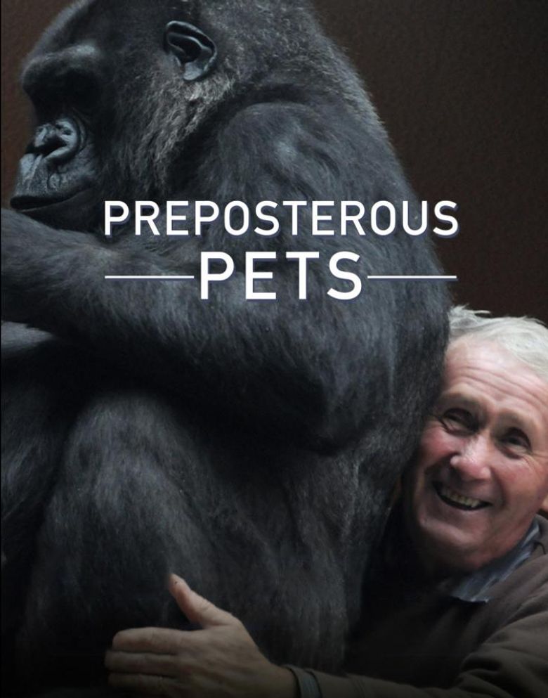 Preposterous Pets