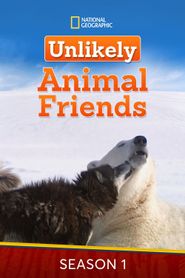 Unlikely Animal Friends Season 1 Poster