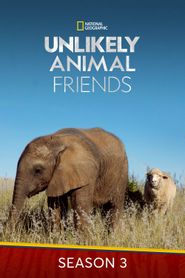 Unlikely Animal Friends Season 3 Poster