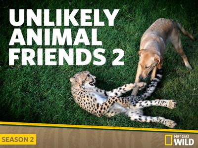 Season 02, Episode 06 Cheetah Cub, Puppy Love