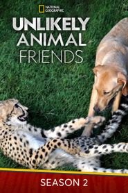 Unlikely Animal Friends Season 2 Poster