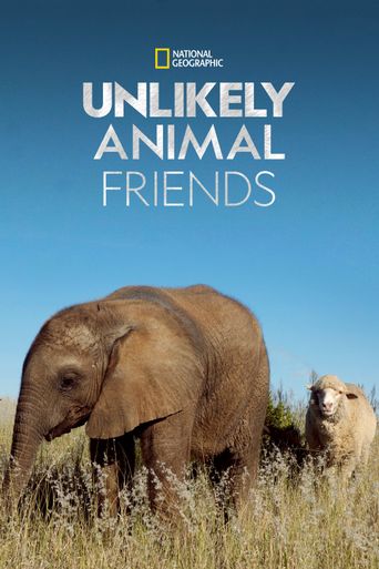  Unlikely Animal Friends Poster