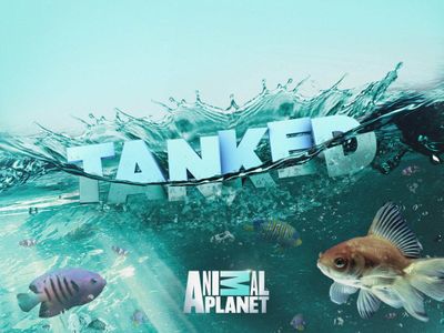Season 12, Episode 101 My Tank From Hell Special: Not-So-Freshwater Tank