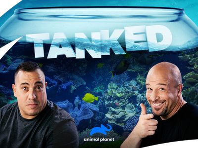 Season 14, Episode 22 Tracy Morgan's Giant Shark Tank Revealed!