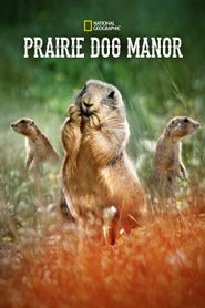 Prairie Dog Manor Season 1 Poster