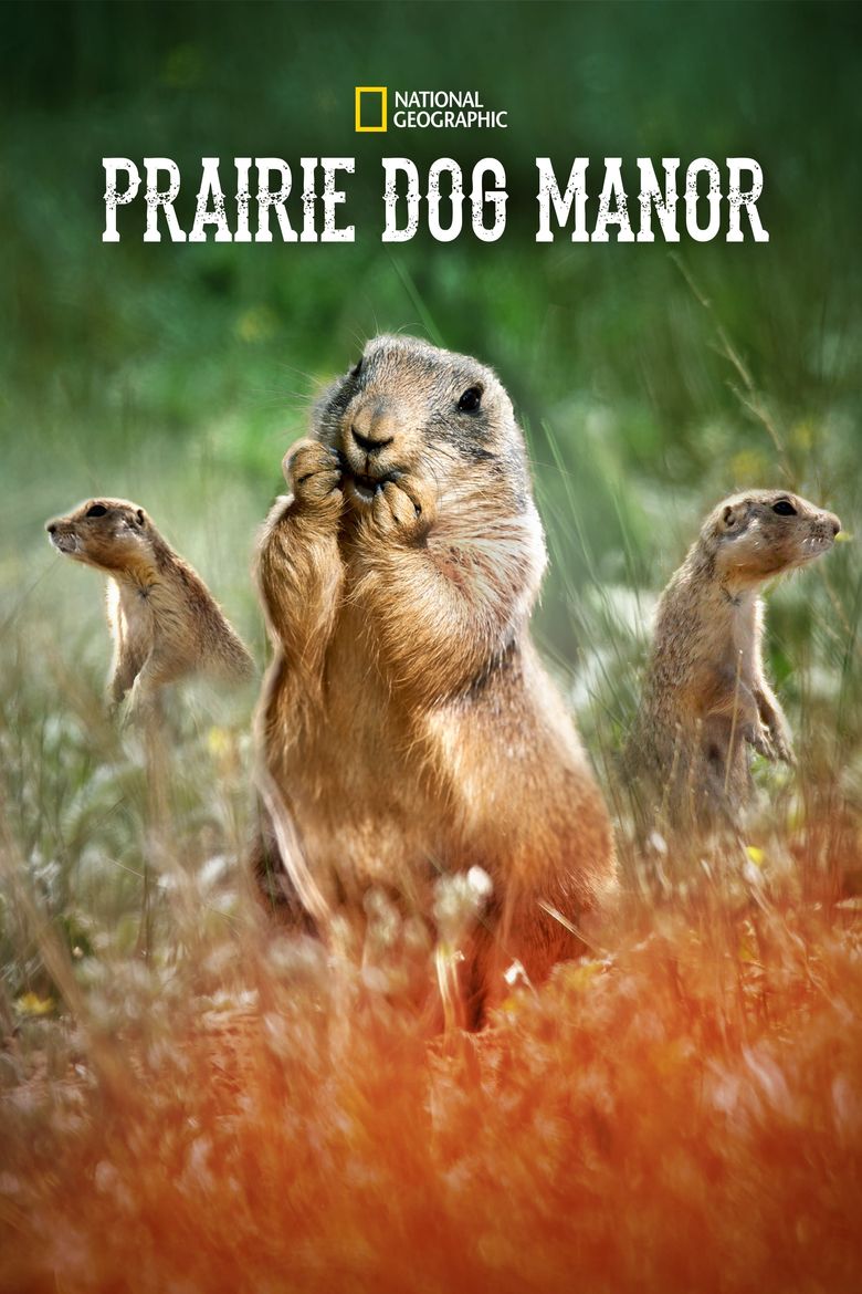 Prairie Dog Manor Poster
