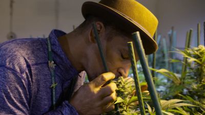 Season 01, Episode 05 Cannabis