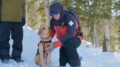 Season 01, Episode 09 Avalanche Rescue Dogs & The Beagle Brigade