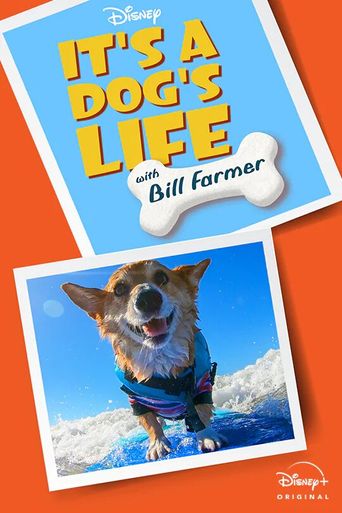  It's A Dog's Life Poster