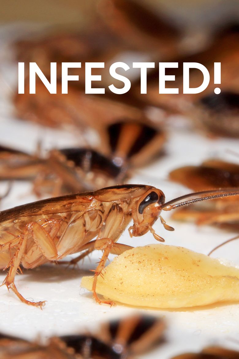 Infested! Poster