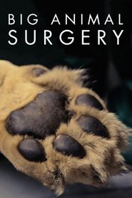 Big Animal Surgery Season 1 Poster