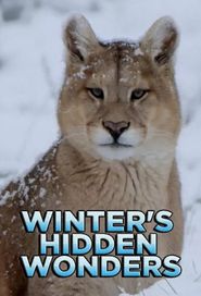  Winter's Hidden Wonders Poster