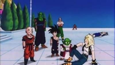 Season 06, Episode 27 Goku's Decision