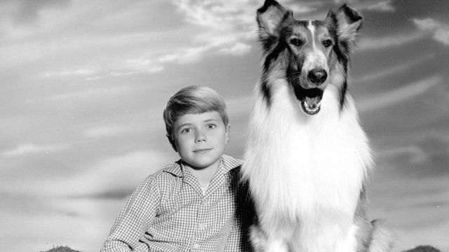 Lassie Backdrop