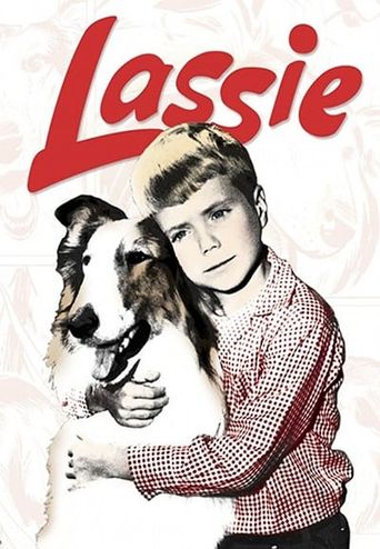 Episode 66  Lassie's Boy Sidekick: Meet Jon Provost, aka Timmy - School  For The Dogs
