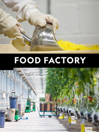  Food Factory Poster