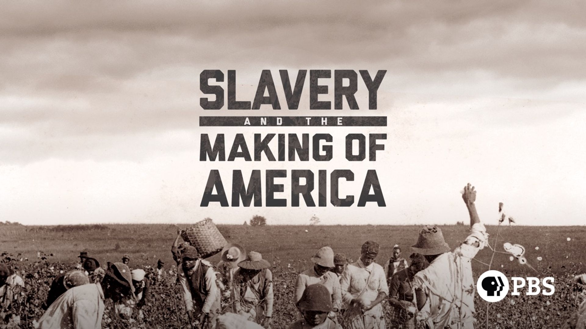 Slavery and the Making of America Backdrop