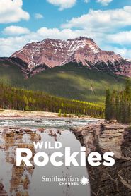  Wild Rockies Poster