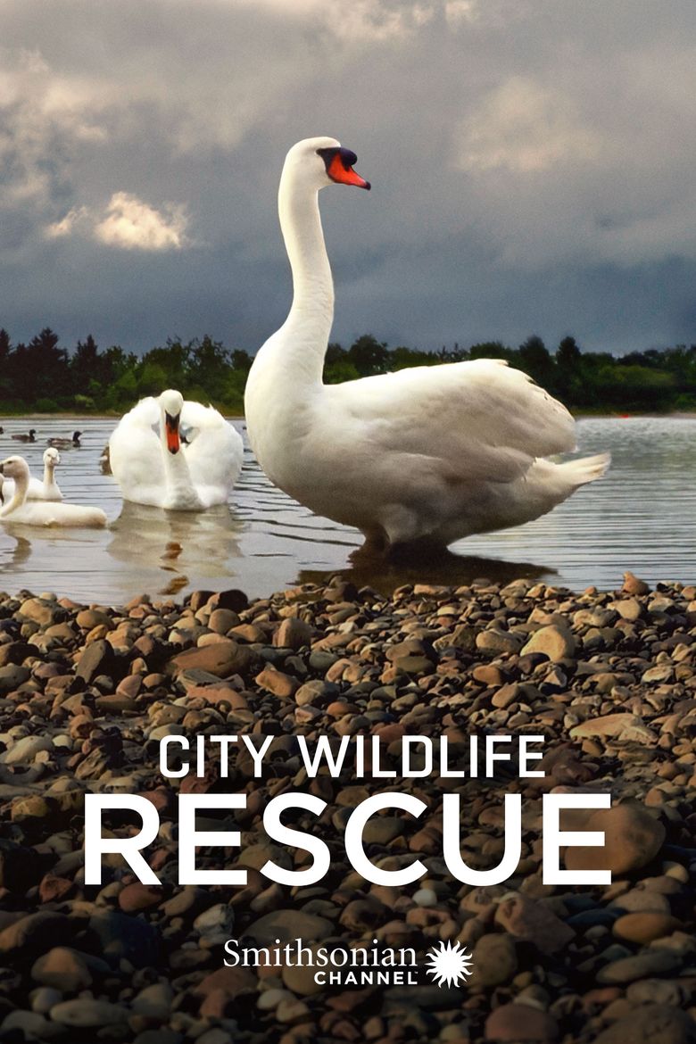 City Wildlife Rescue Poster