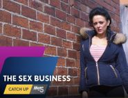  The Sex Business Poster
