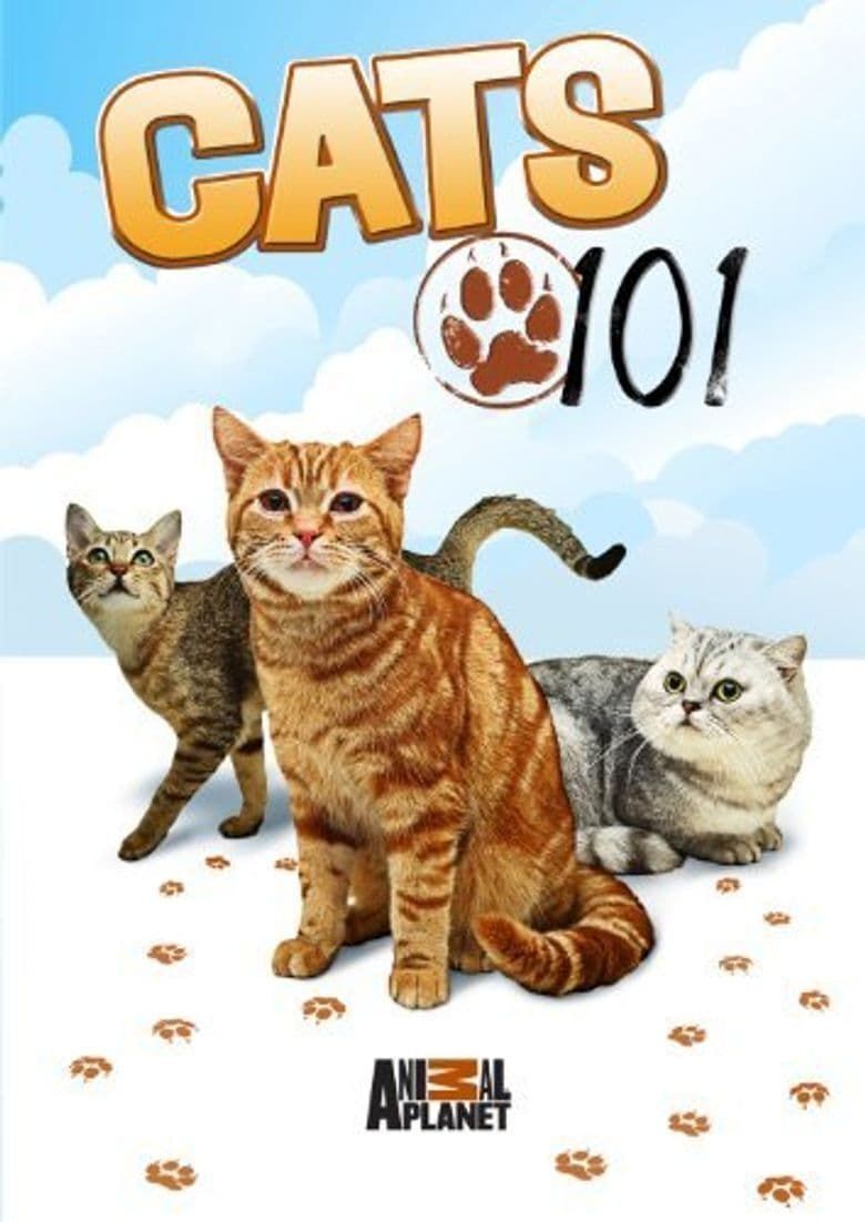 Cats 101 Poster