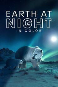  Earth at Night in Color Poster