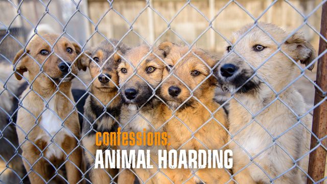 Confessions: Animal Hoarding Backdrop