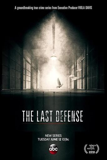  The Last Defense Poster