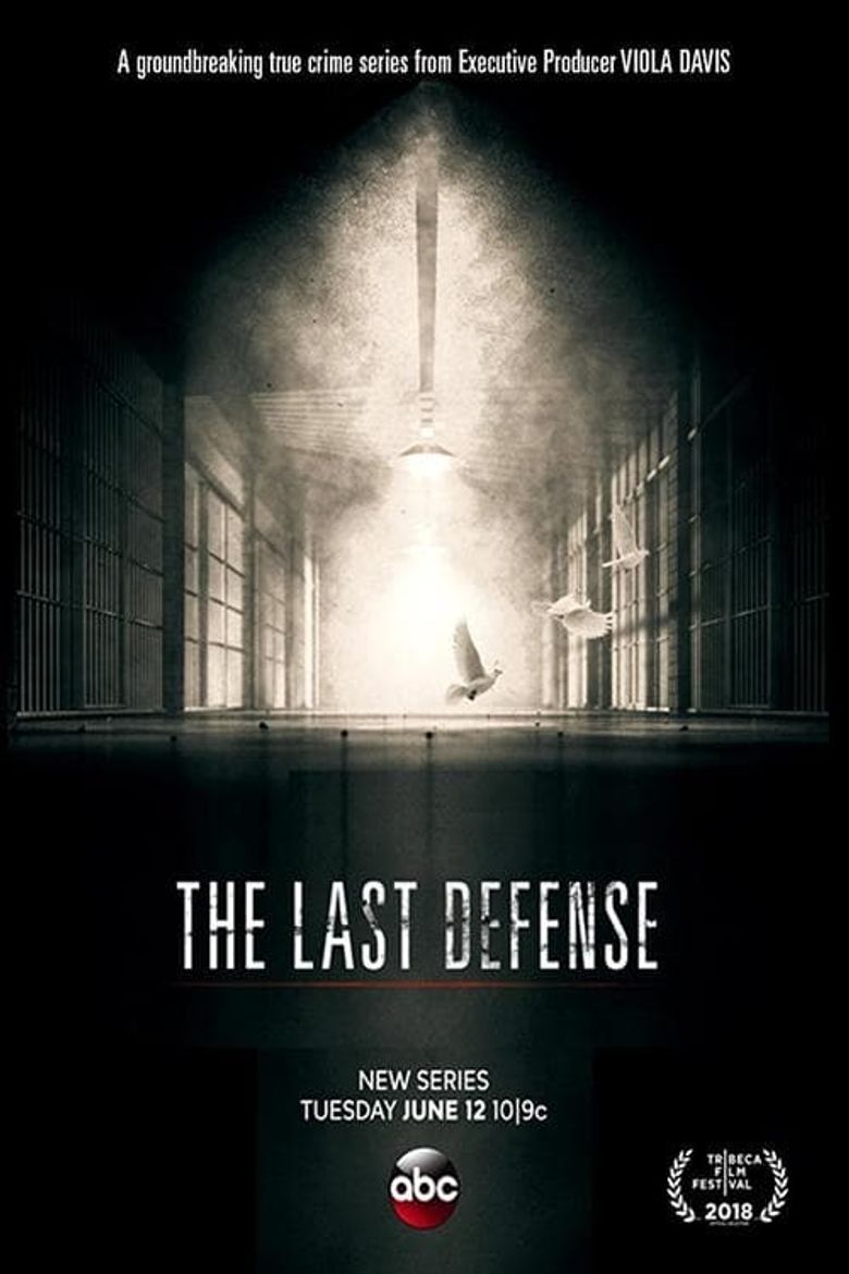 The Last Defense Poster