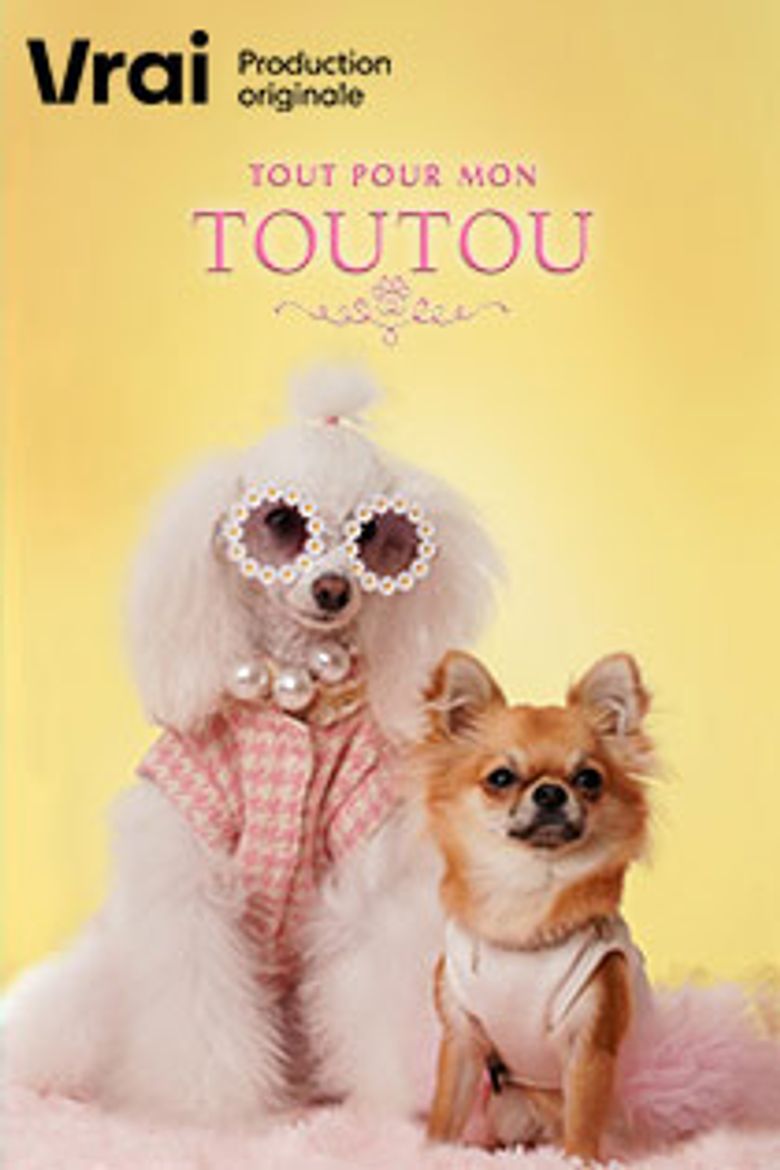 Tout pour mon toutou