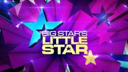  Big Star's Little Star Poster