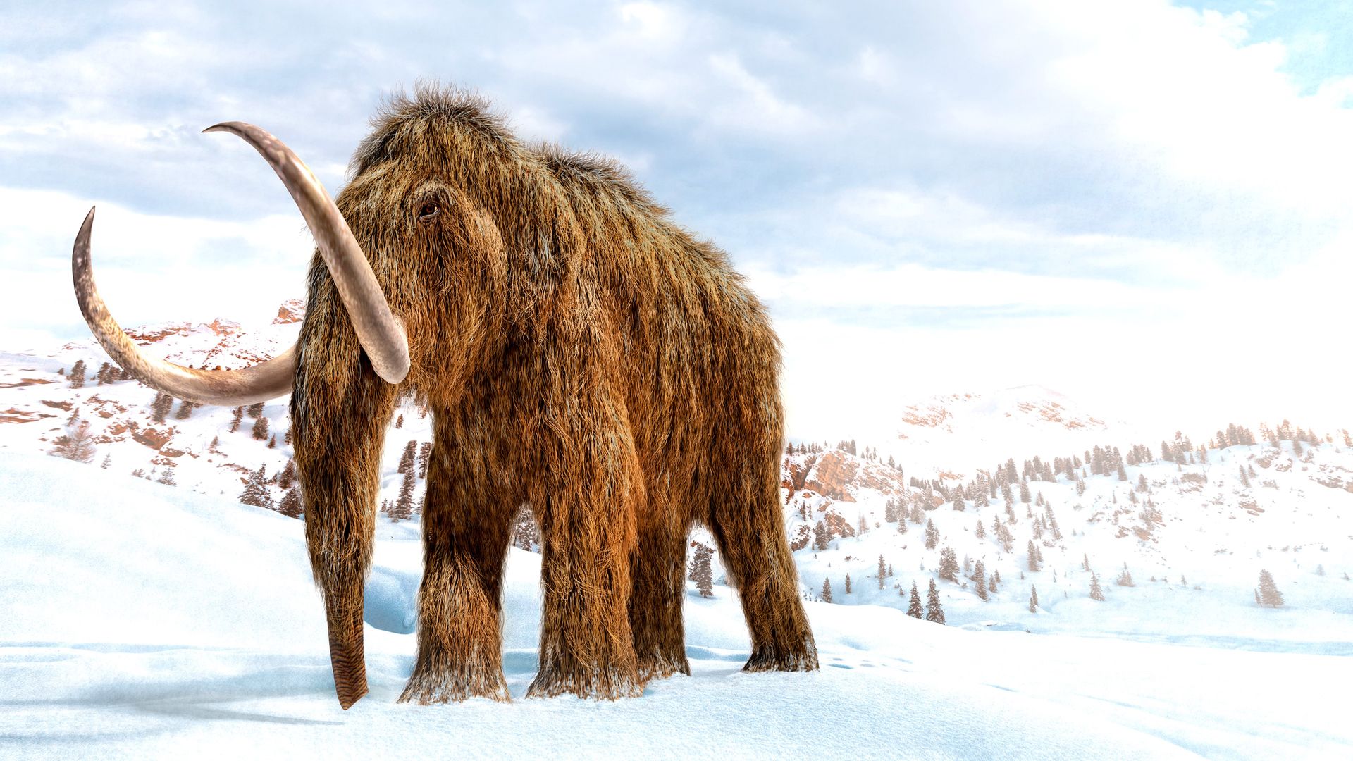 Woolly Mammoth: Secrets from the Ice - Where to Watch Every Episode ...