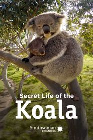  Secret Life of the Koala Poster