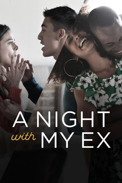 A Night with My Ex Poster