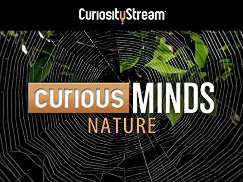 Curious Minds: Climate Change