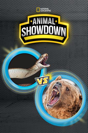  Animal Showdown Poster