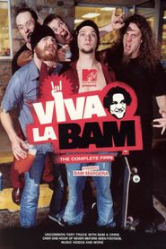  Viva La Bam Poster