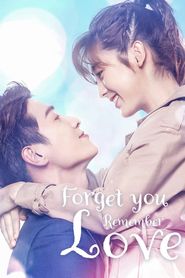  Forget You Remember Love Poster