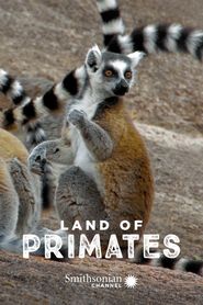  Land of Primates Poster