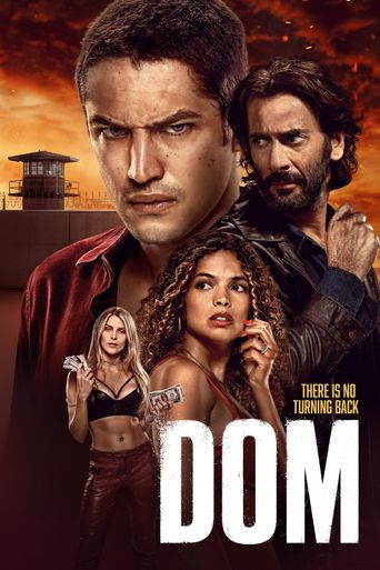 New releases Dom Poster