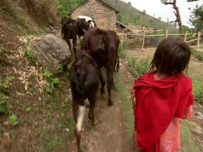 Season 30, Episode 12 Farmland and a Fixer in Nepal