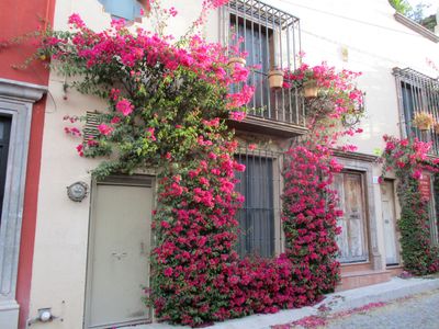 Season 152, Episode 16 Meet Me in San Miguel de Allende