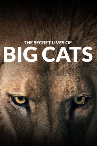  The Secret Lives of Big Cats Poster