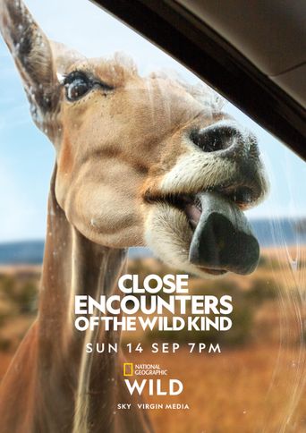 Close Encounters of the Wild Kind: Where to Watch and Stream Online