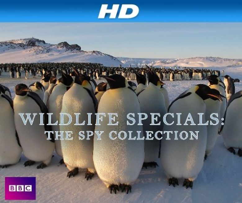 Wildlife Specials: The Spy Collection