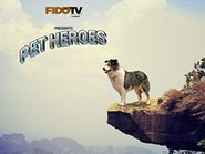  Pet Heroes Poster