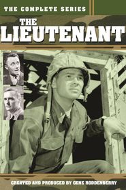 The Lieutenant Season 1 Poster