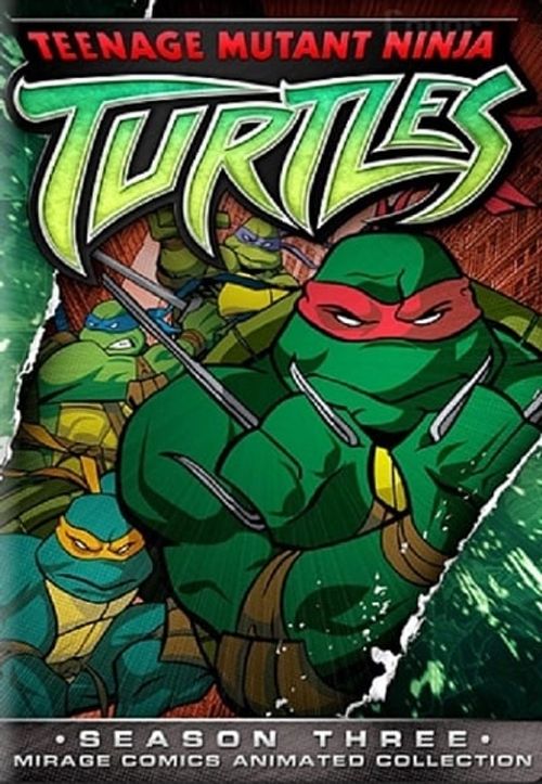 Teenage Mutant Ninja Turtles Season 3: Where To Watch Every Episode